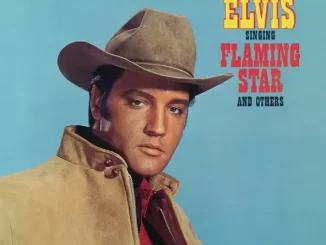 Elvis Sings Flaming Star and Others