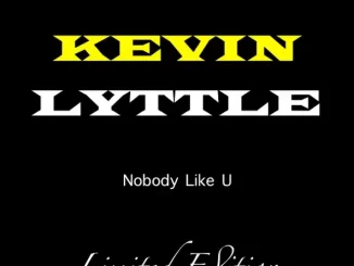 Nobody Like U (Remixes)