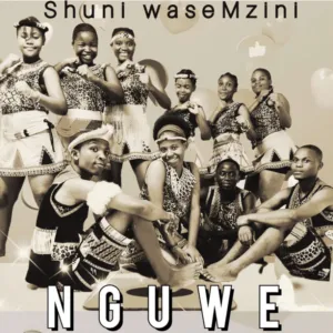 Shuni – Wasemzini Nguwe