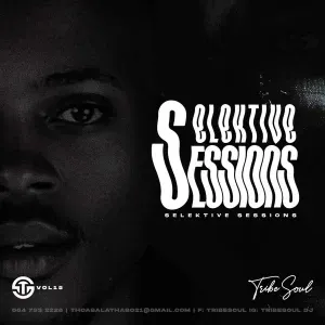 TribeSoul – Selektive Sessions 015 Mix
