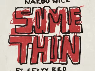 Nardo Wick Somethin' (feat. Sexyy Red)