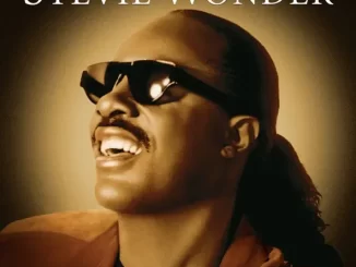 Stevie Wonder The Definitive Collection