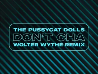 The Pussycat Dolls Don't Cha (Wolter Wythe Remix)