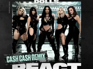The Pussycat Dolls React (Cash Cash Remix