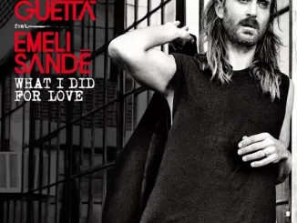 David Guetta What I did for Love (feat Emeli Sandé) [Remixes]
