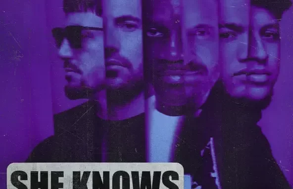 Dimitri Vegas & Like Mike, David Guetta & AfroBros She Knows (feat Akon) [The Remixes]