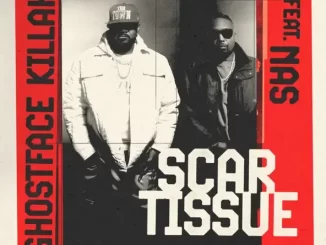 Ghostface Killah & Nas Scar Tissue