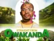AfroToniQ – Straight from Qwakanda