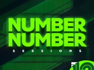 Dzo 729 – Number Number Session 12